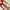 Staccato Women Heels photo 4