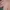 Atasan crop top (colorbox)  photo 4