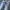 Uniqlo Selvedge Original Slim Straight Jeans photo 3
