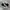 Converse Chuck Taylor All Star 70S High Black White Non Egre photo 2