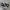 Converse Chuck Taylor All Star 70S High Black White Non Egre photo 1
