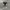 Converse Chuck Taylor All Star 70S High Black White Non Egre photo 3