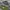 Stussy Vintage Streetwear Hat Pria green photo 2