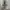 The Most Wanted Girl - Quinwriter photo 4