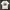 Stussy Streetwear T-shirt Pria white photo 2