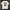 Stussy Streetwear T-shirt Pria white photo 1