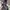 Nike Streetwear Sportswear Sneakers Pria black photo 1