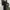 ZARA Luxury Maxi dress Wanita black photo 4