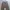 Dickies Streetwear Casual Casual pants Pria tan photo 5