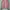Outer / jaket  photo 1