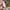 ZARA Futurist Bodycon dress Wanita tan khaki photo 8