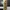 ZARA Futurist Bodycon dress Wanita tan khaki photo 6