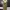 ZARA Futurist Bodycon dress Wanita tan khaki photo 4
