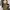 ZARA Futurist Bodycon dress Wanita tan khaki photo 7