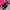 Jovem studio - Sepatu karet kulit corso derby series unisex photo 1
