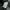 SPAO New Basic Forest Green Oversize Crewneck photo 6