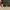 AIR JORDAN 1 LOW SE photo 5