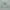 Blank vtg 2000s Russell Athletic photo 2