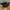 Adidas Yeezy Foam RNR 43 photo 3