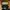 Adidas Yeezy Foam RNR 43 photo 6