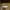 Adidas Yeezy Foam RNR 43 photo 5