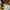 Adidas Yeezy Foam RNR 43 photo 8