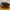 Adidas Yeezy Foam RNR 43 photo 4