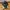 Adidas Yeezy Foam RNR 43 photo 2