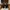 Adidas Yeezy Foam RNR 43 photo 7