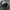 Vintage Ecwcs woodland us army gen I  photo 8