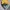 HAS IT HALFBUTTON KNIT photo 4