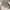 Y2K Fur coat Wanita pink brown photo 6