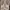 Converse Chuck Taylor All Star maroon photo 5