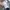 Le Coq Sportif Sportswear Hat Pria gray photo 2