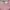 H&M Divided Cropped Pink Halter Topi photo 4