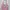 H&M Divided Cropped Pink Halter Topi