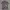Oversize Open Collar Grooverhyme Hawaiian photo 1