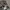 Oversize Open Collar Grooverhyme Hawaiian photo 4