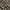 Oversize Open Collar Grooverhyme Hawaiian photo 3