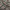 Oversize Open Collar Grooverhyme Hawaiian photo 2