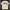 Stussy Streetwear T-shirt Pria cream photo 1