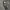 Basic Essential Grey Cargo Jogger Pants photo 5