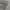 Basic Essential Grey Cargo Jogger Pants photo 2