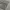 Basic Essential Grey Cargo Jogger Pants