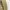 Cargo Pants A’VAIL Jean Straight fit - Size 34 photo 4