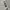 MLB New York Yankees Jogger Pants photo 3