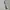 MLB New York Yankees Jogger Pants photo 2