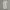MLB New York Yankees Jogger Pants photo 1
