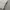 MLB New York Yankees Jogger Pants photo 4