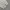 Nike Box Logo Bordir Jogger Pants photo 4